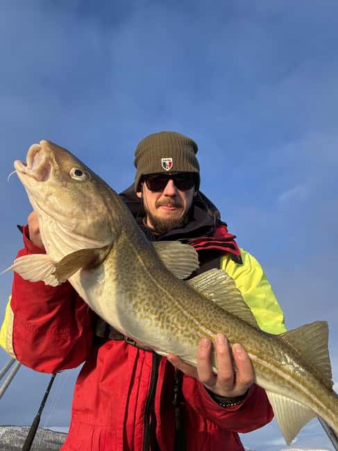 Tromsø: Private Fishing Tour - Taking fish home: export documentation that reduces headaches