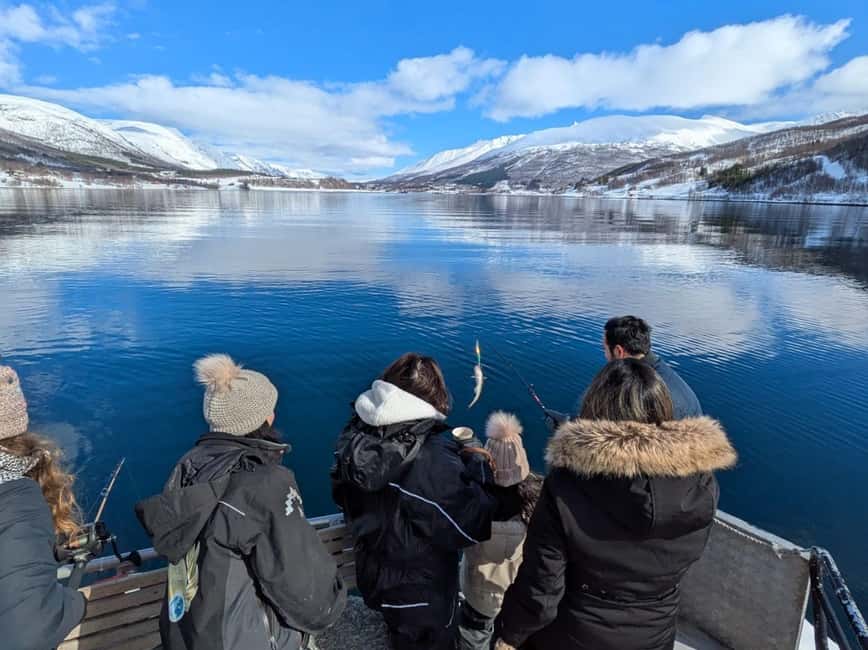 Tromsø’s Top-Rated Fjord & Fishing Cruise – All-Inclusive - What This Tromsø Fjord & Fishing Cruise Feels Like (Warm Boat, Real Time Outdoors)