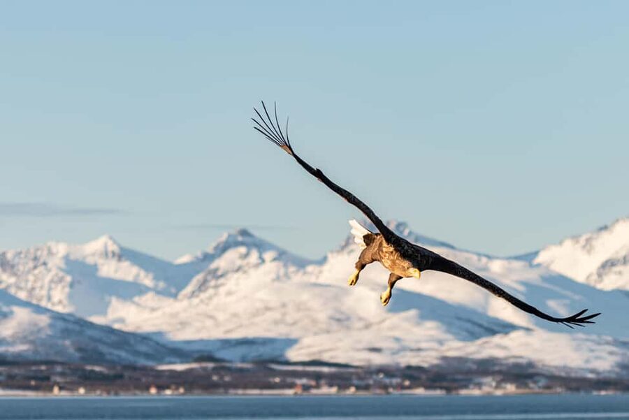Tromsø’s Top-Rated Fjord & Fishing Cruise – All-Inclusive - Boat Comfort on Capella: Cozy, Small, and Built for Arctic Photos