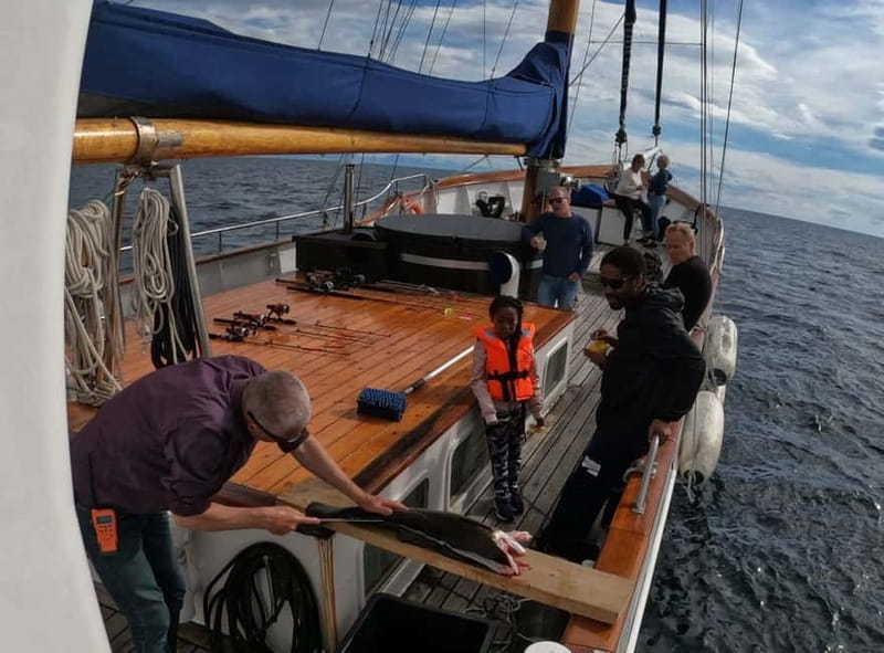 Tromsø: Small Group Sea-to-Table Fishing Experience - Stella Oceana and the small-group setup in Tromsø