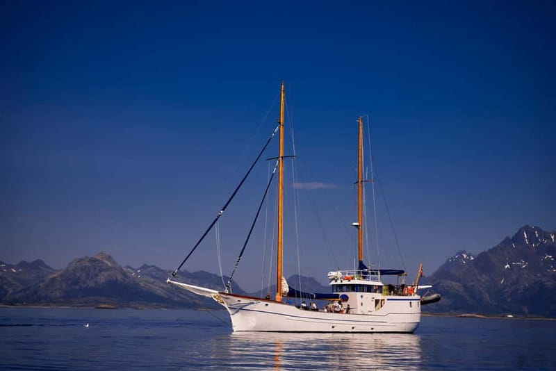 Tromsø: Small Group Sea-to-Table Fishing Experience - Views and comfort: hot drinks, cookies, and indoor warmth