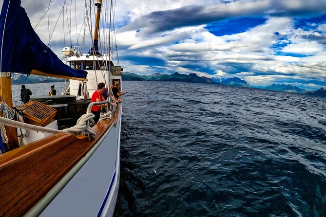Tromsø Small Group Sea-to-Table Fishing Trip - What you can catch: cod, pollock, mackerel, and halibut