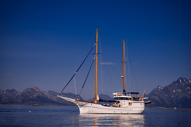 Tromsø Small Group Sea-to-Table Fishing Trip - Group size and getting around: 12 people max and stairs on deck