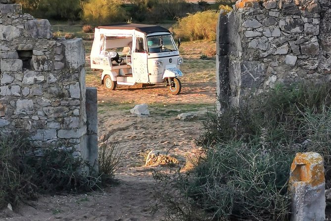 Tuk tuk Tour Tavira Total - 2h00 - Includes Tuna Museum and Fishing Village - Price and time: is $63.38 per person good value?