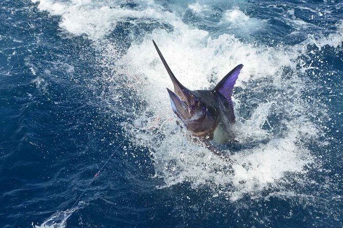 Tulum Deep Sea Fishing Tour - Comfort and gear: rods, reels, safety, and the beer-and-water mix
