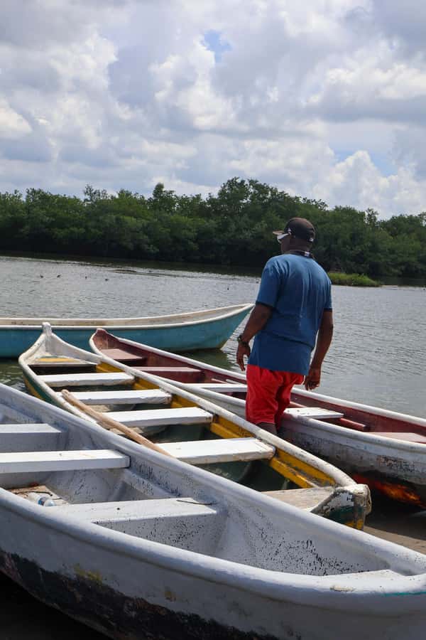 Typical lunch on beach, mangrove tour & fishing with natives - Price and value: is $84 per person fair?