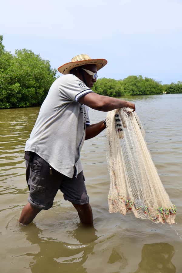 Typical lunch on beach, mangrove tour & fishing with natives - Who should book this mangrove and fishing lunch tour?