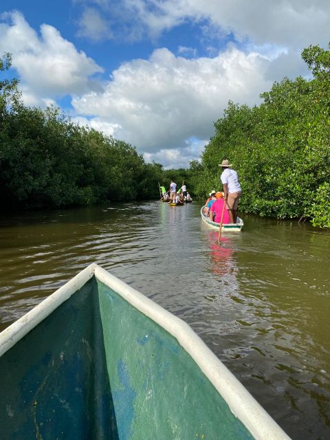 Typical lunch on beach, mangrove tour & fishing with natives - Should you book it?