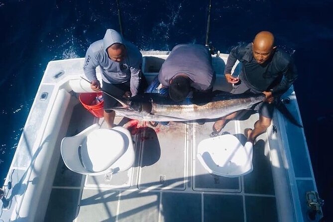 Ultimate Fishing Experience in Cabo - Meeting at La Chatita and getting your bearings fast