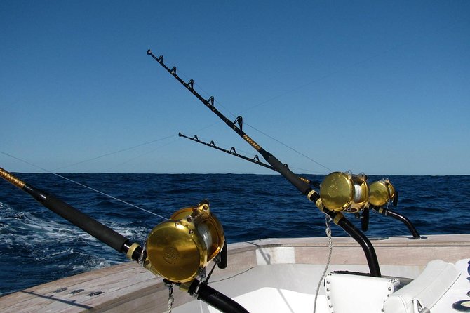 Ultimate Full-Day Big Game Fishing & Trolling Tour - Trolling Season Reality Check: Why Some Days Feel Different