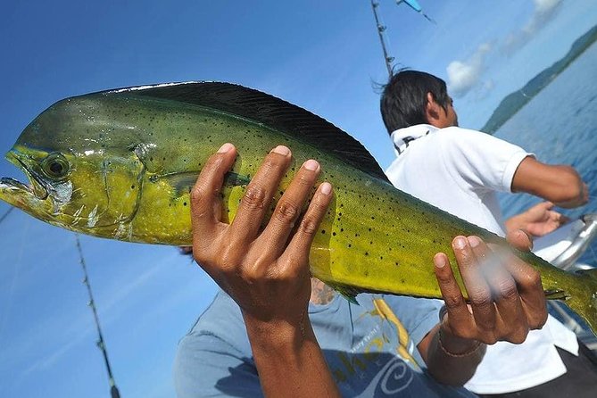 Ultimate Full-Day Big Game Fishing & Trolling Tour - Lunch on the Water: Thai Buffet Style, Plus Drinks All Day