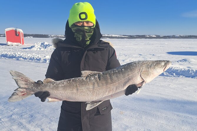 Ultimate Ice Fishing with Lunch - Quick hits: what makes this Yellowknife ice fishing outing work