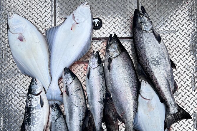 Ultimate Ketchikan Salmon and Halibut Fishing Adventure - Ketchikan Combo Fishing: Why Halibut and Salmon Work So Well Together