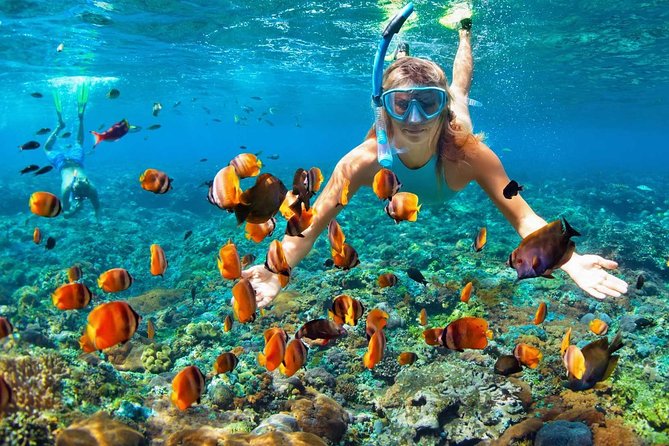 V.I.P Snorkeling & Fishing Tour ( Speed Boat ) Minimum 02 people - Timing, Small-Group Feel, and How the Day Flows