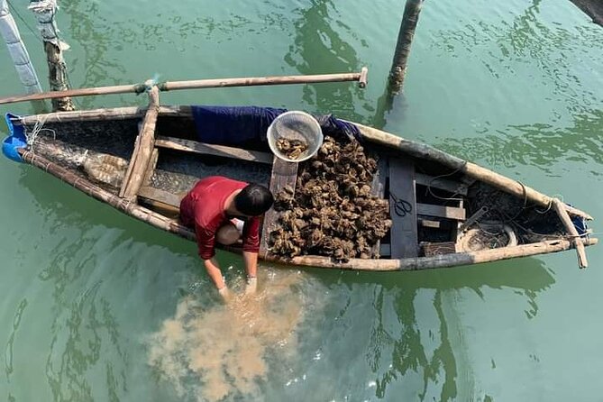 Vietnam/Lang Co Oyster Tour by Fishing & Tasting Oyster Flavors - Key Highlights You’ll Care About