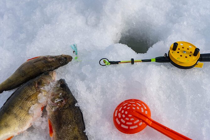 VIP Ice Fishing "ICEBREAKER" Lunch in Glass Igloo - Who this trip suits best (and who might want to adjust expectations)