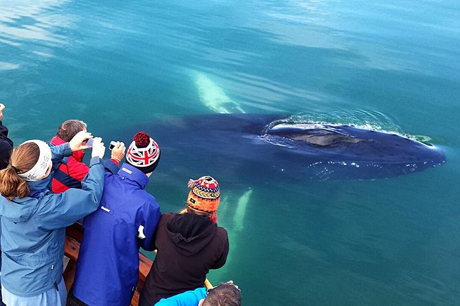 Whale Watching and Sea Angling Tour - Warm overalls and hot drinks: your comfort strategy for Eyjafjörður