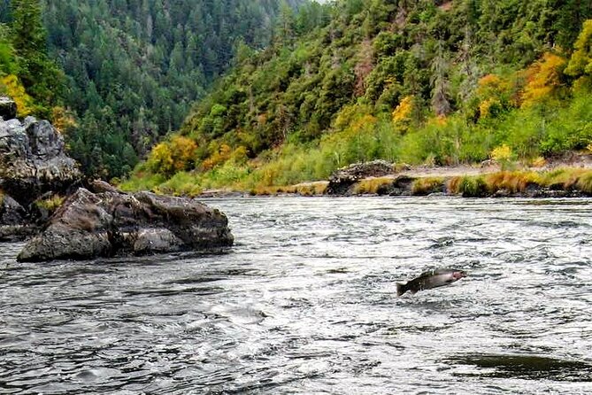 Whitewater Fishing and Rafting Experience in Rogue River - Where the trip starts: Almeda County Park and the “you’re taken care of” rhythm