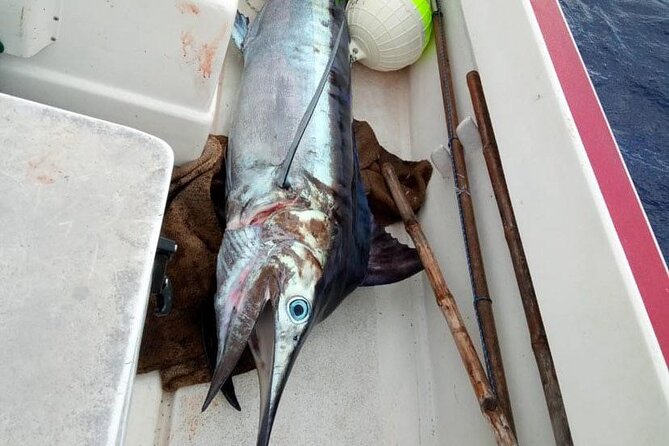 Wholesale Fishing in Poti Marara at Tahiti Teahupoo Peninsula - Comfort, drinks, and what to plan for