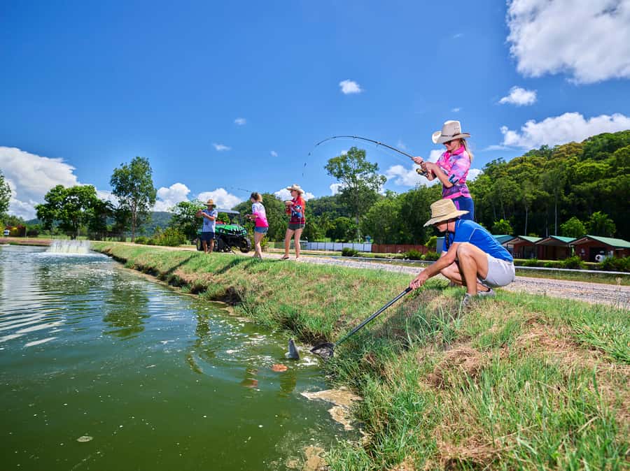 Wonga Beach: Hook-A-Barra Fishing Experience - Wonga Beach and the Daintree Saltwater Barramundi Farm vibe
