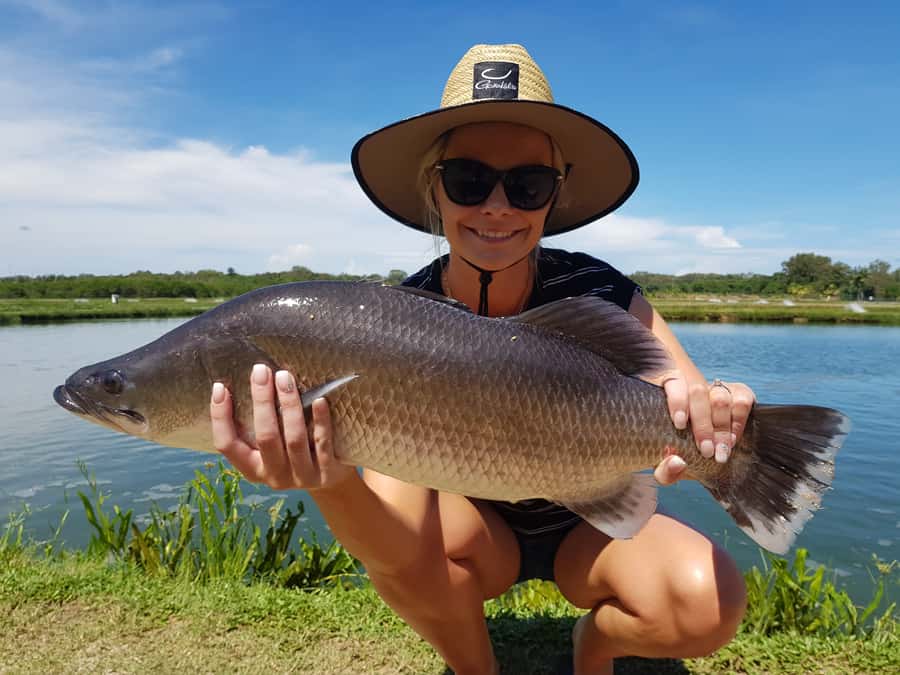 Wonga Beach: Hook-A-Barra Fishing Experience - Your 90-minute rhythm: when fishing actually happens