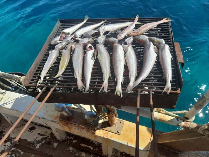 Zadar: Fishing Boat Trip with Lunch and Swimming Included - Molat Island and the Sandy Cove Swim: Eat Later, Swim Now