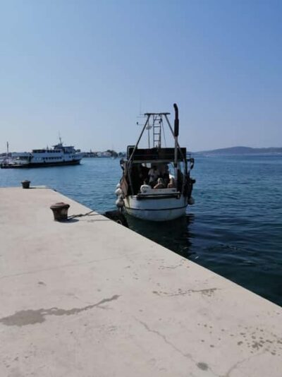 Zadar: Fishing Boat Trip with Lunch and Swimming Included - The Sorting Moment: Learning the Catch, Not Just Watching It