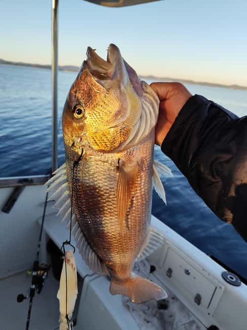 Zadar: Sunset Fishing Half-Day Guided Boat Trip - Sunset Time: Why the Break and the Views Matter