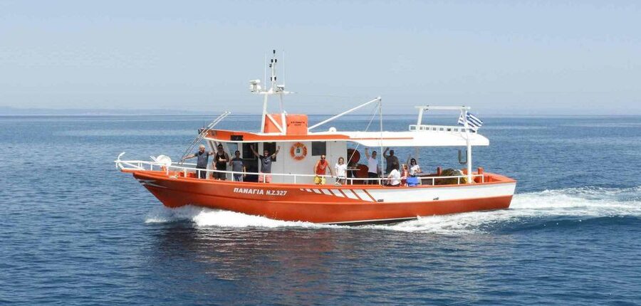 Zante Fishing Tours - Setting expectations: timing, weather, and what counts as a “successful” day