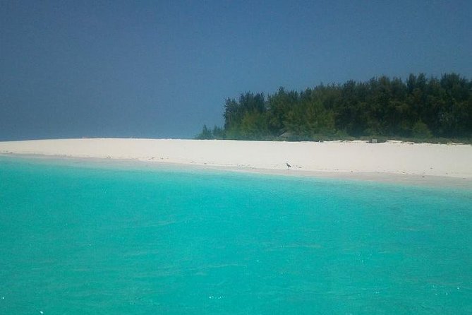 Zanzibar Deep Sea Fishing & Local fishing. - Tackling the day: Shimano and Penn reels, plus bait choices