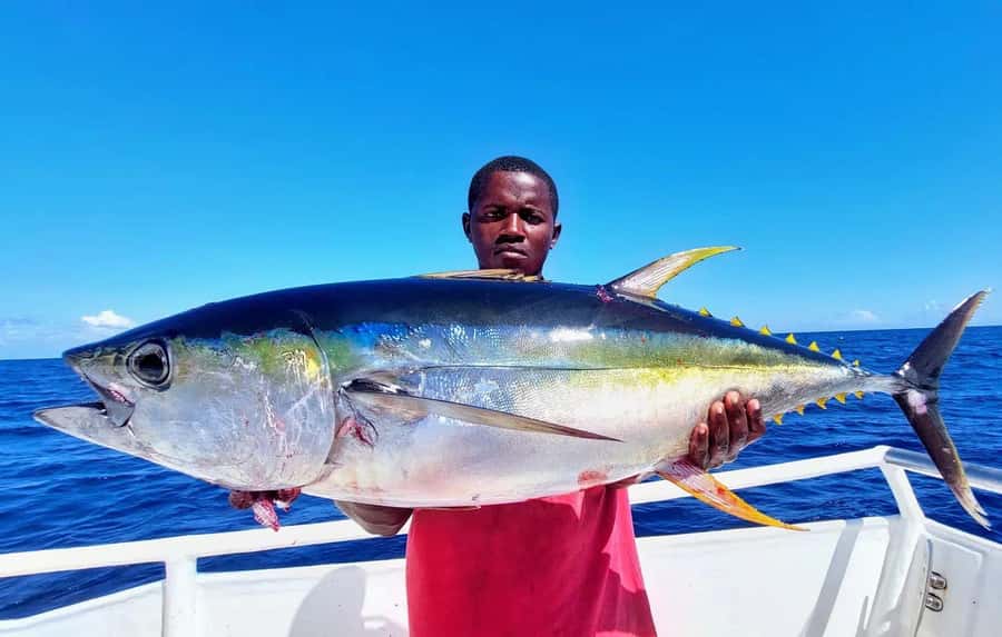 ZANZIBAR FISHING EXPRIENCE - Gear, Safety Briefing, and What the Guides Actually Do