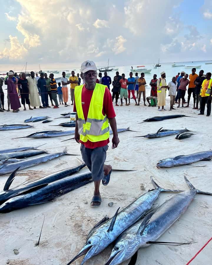 ZANZIBAR FISHING EXPRIENCE - The Offshore Fishing Game: Popping and Trolling for Sportfish